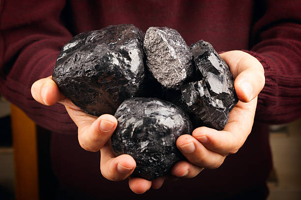 Coal selection "Hand holding different natural coal types: graphite, anthracite, bituminous coal, lignite," lead mine stock pictures, royalty-free photos & images