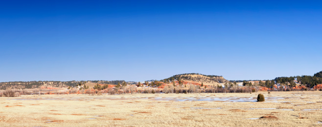 Panoramic of Black-tailed Prairie Dog Town at Devils Tower national monument in Wyoming, USA. 5 files stitched.