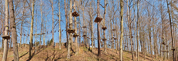 ropes course in a forest ropes course for the whole family. Try how brave you are :) Photo taken in Thuringia, Germany school sport high up tall stock pictures, royalty-free photos & images