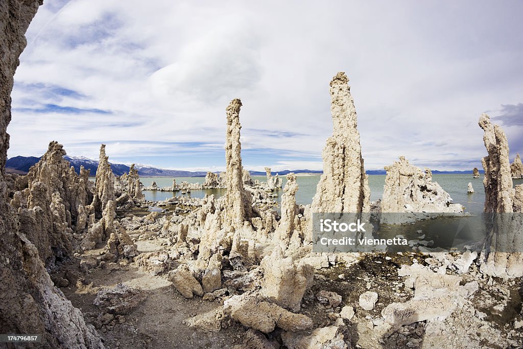 Mono Lake Tufa State Natural Reserve - Zbiór zdjęć royalty-free (Bez ludzi)