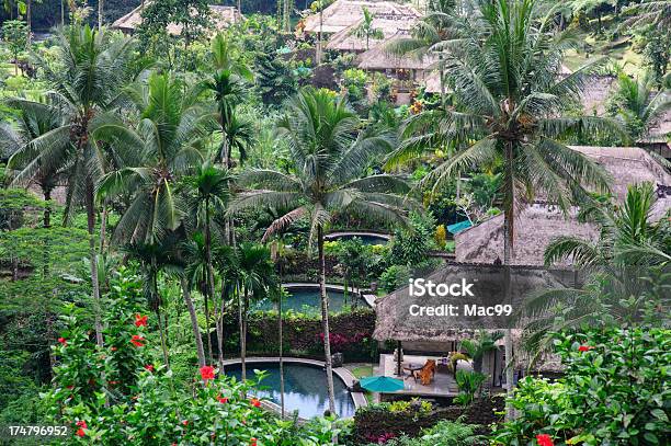 Photo libre de droit de Les Villas Jungle banque d'images et plus d'images libres de droit de Bali - Bali, Fleur - Flore, Forêt pluviale