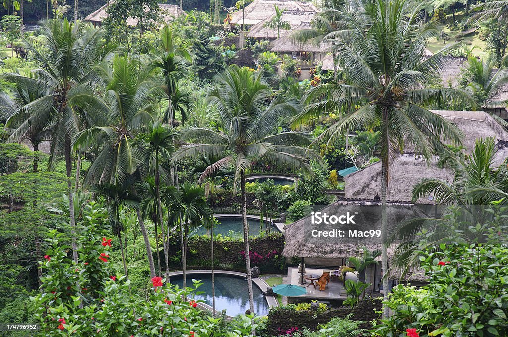 Ville giungla - Foto stock royalty-free di Bali