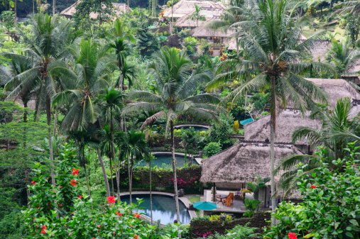 Jungle Villas