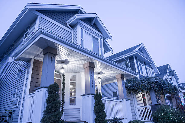 istock Suburban Houses 174796984