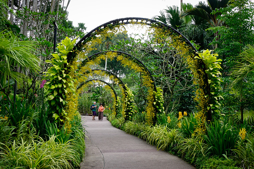 Singapore - Dec 15, 2015. People visiting the Singapore Botanic Gardens in Singapore. Opened in 1859, the gardens now cover 74 hectares.