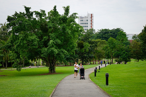 Singapore - Dec 15, 2015. Unidentified people walk through the Singapore Botanic Gardens in Singapore. Opened in 1859, the gardens now cover 74 hectares.