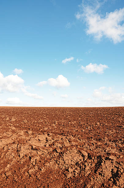 istock Plowed red soil under clear blue sky in autumn 174797251