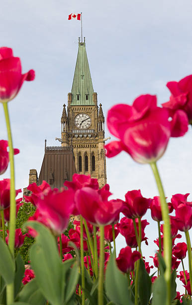 istock Canadian Parliament from the Back 174797280