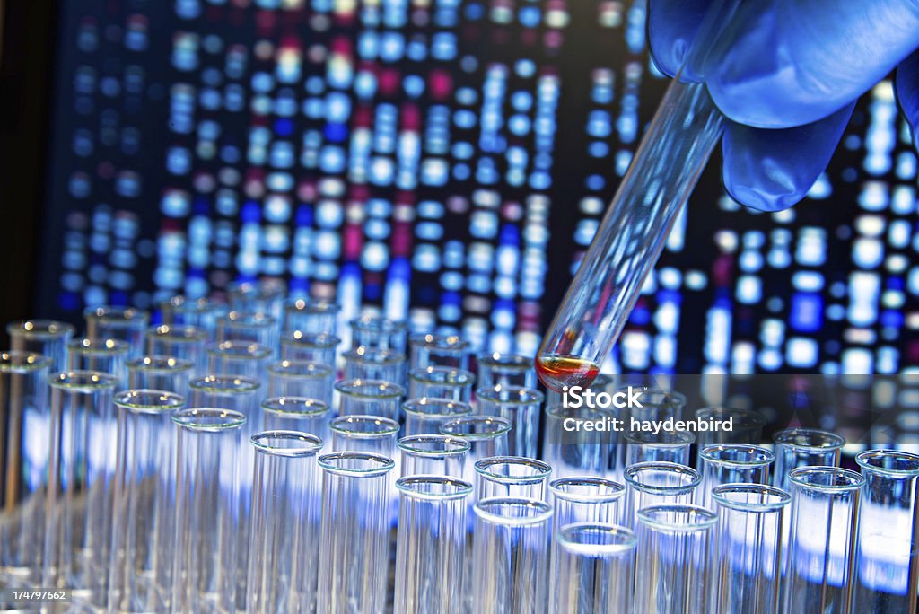 장갑을 낀 손으로 테스트 튜브 제거 대한 유전자 차트별 배경기술 - 로열티 프리 면역학 스톡 사진