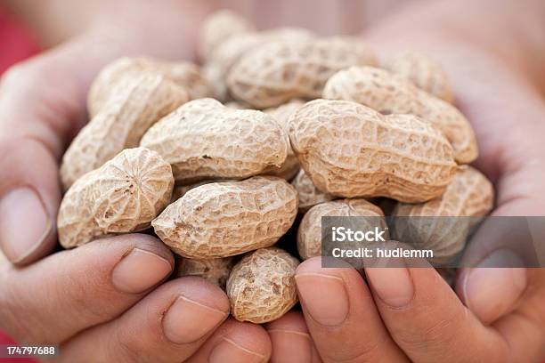 쥠 Peanuts 땅콩-견과에 대한 스톡 사진 및 기타 이미지 - 땅콩-견과, 한 줌, 갈색