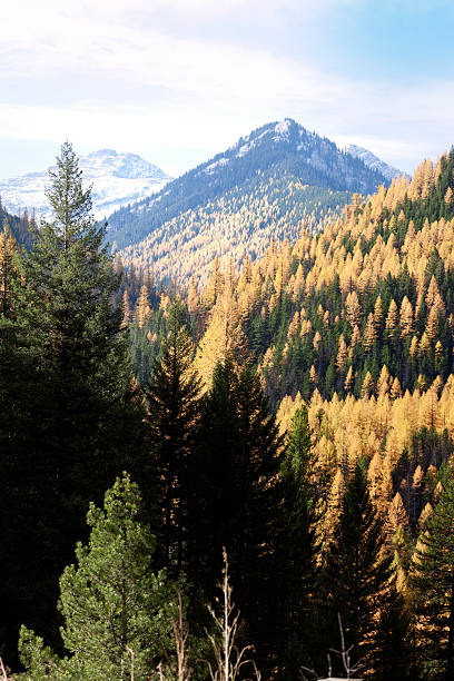 istock Montana landscape in autumn 174797725