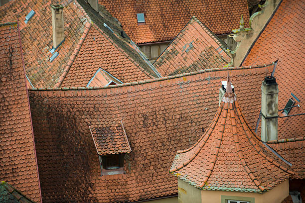 istock Historic, crooked rooftops with red colored tiles from above. 174797761