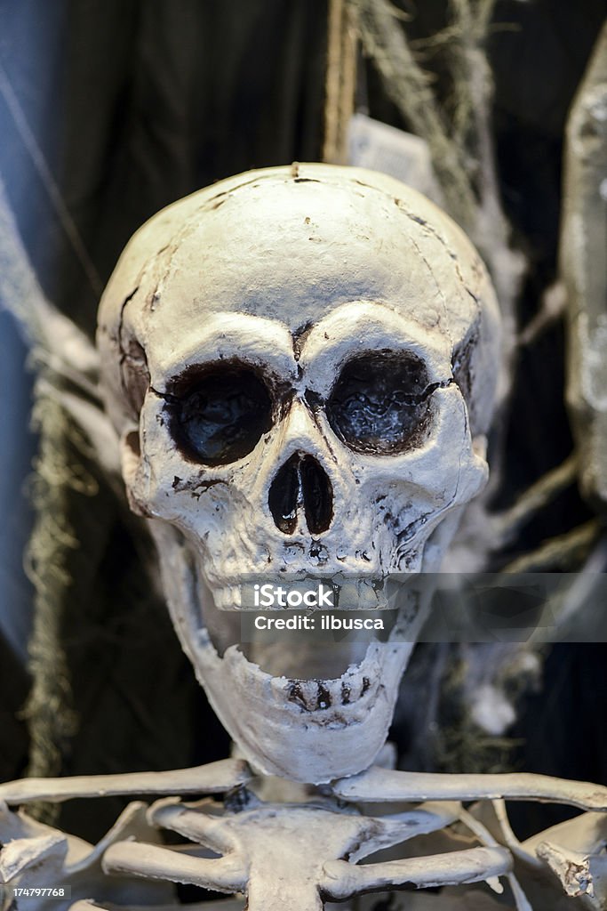 Surpresa esqueleto Crânio - Foto de stock de Boca Aberta royalty-free
