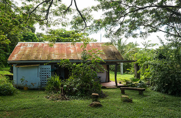istock Cabin In The Jungle 174797898