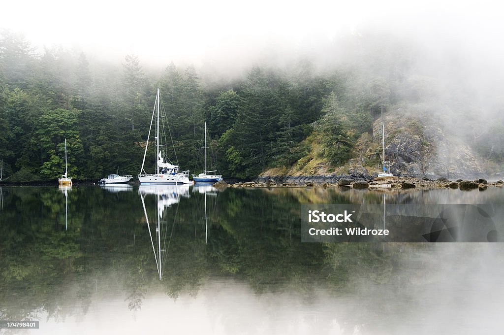 Nebel shrouds Vancouver Island harbor - Lizenzfrei Anker werfen Stock-Foto