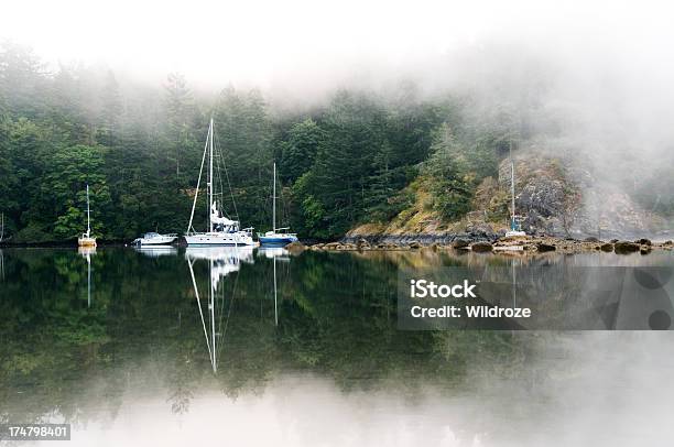 Nebel Shrouds Vancouver Island Harbor Stockfoto und mehr Bilder von Anker werfen - Anker werfen, Baum, Bucht
