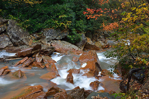 bosque nacional de otoño en monongahela - monongahela national forest landscapes nature waterfall fotografías e imágenes de stock