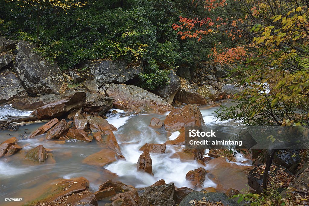 가을 Monongahela 국립 산림 - 로열티 프리 0명 스톡 사진