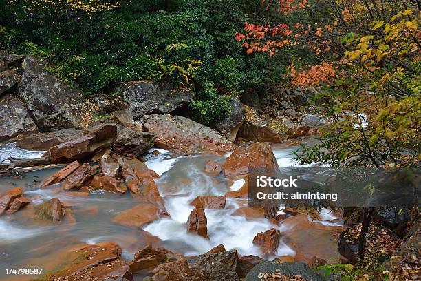 Outono Na Floresta Nacional De Monongahela - Fotografias de stock e mais imagens de Ao Ar Livre - Ao Ar Livre, Cascata, EUA