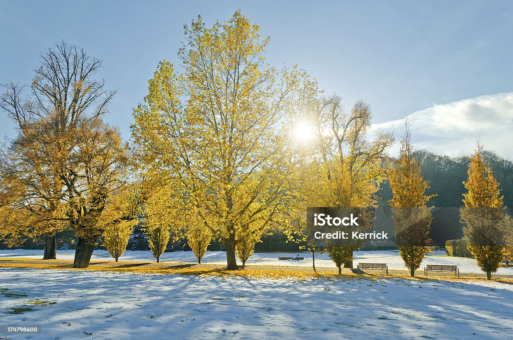 Frühen Schnee im Oktober - Lizenzfrei Auf die Uhr sehen Stock-Foto