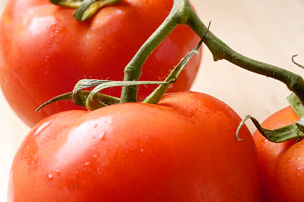 Vine Tomatoes stock photo