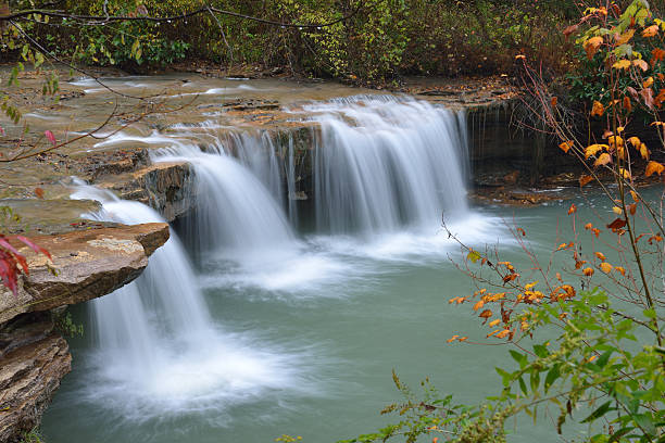 cascadas en río blackwater - monongahela national forest landscapes nature waterfall fotografías e imágenes de stock