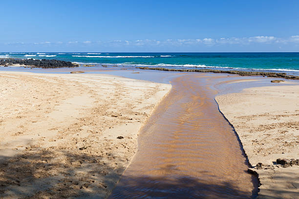 пляж река рта - mahaulepu beach стоковые фото и изображения