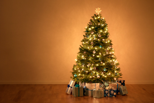 This is a photo of Christmas Presents under the tree. There is a lot of space for copy on the left.Click on the links below to view lightboxes.