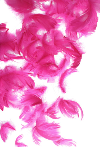 pink feather garland on white background