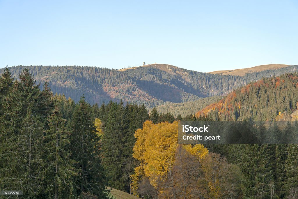 Осень на Шварцвальд - Стоковые фото Баден-Вюртемберг роялти-фри