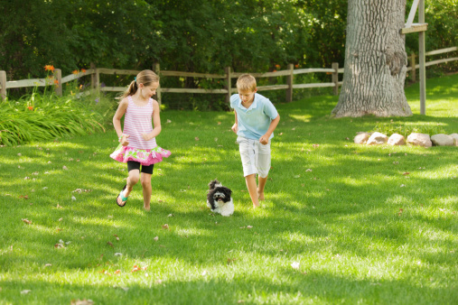 Subject: Children playing with family pet dog in their grass lawn backyard.