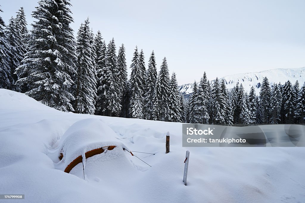 Zelt unter Schnee - Lizenzfrei Baum Stock-Foto