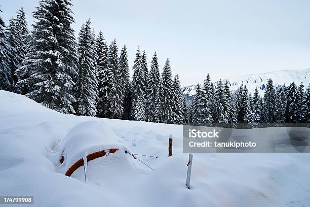 Zelt Unter Schnee Stockfoto und mehr Bilder von Baum - Baum, Berg, Europa - Kontinent