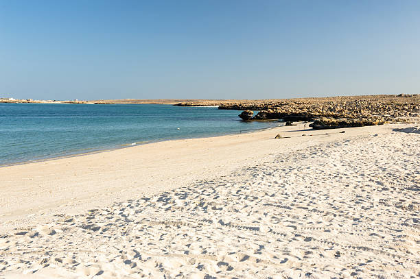 ras al hadd beach - oman beach nature stone imagens e fotografias de stock