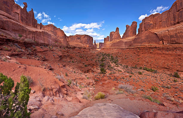 istock Park Avenue Panorama at Arches 174800304
