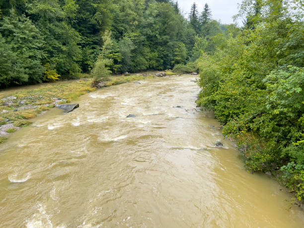 istock A river with the turbid water in Richterswill 1748008197