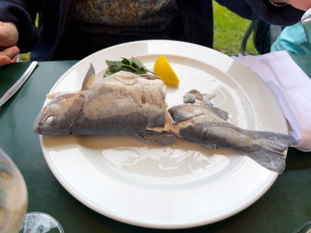 Boiled trout from the Sihl river