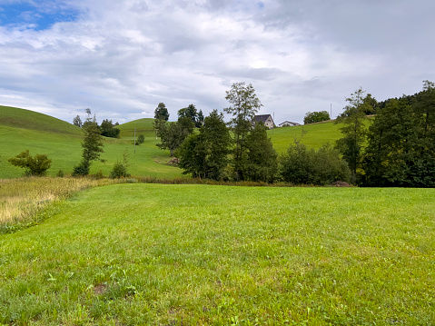 The meadows in Switzerland are always green.