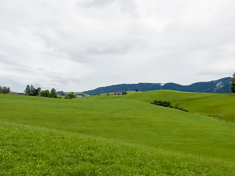 The wide green meadow in Richterswill.