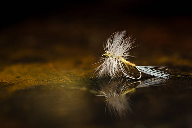 istock Fly Fishing Lure 174801198