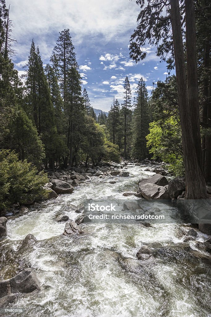 Rzeka poniżej Wodospad Yosemite - Zbiór zdjęć royalty-free (Bez ludzi)