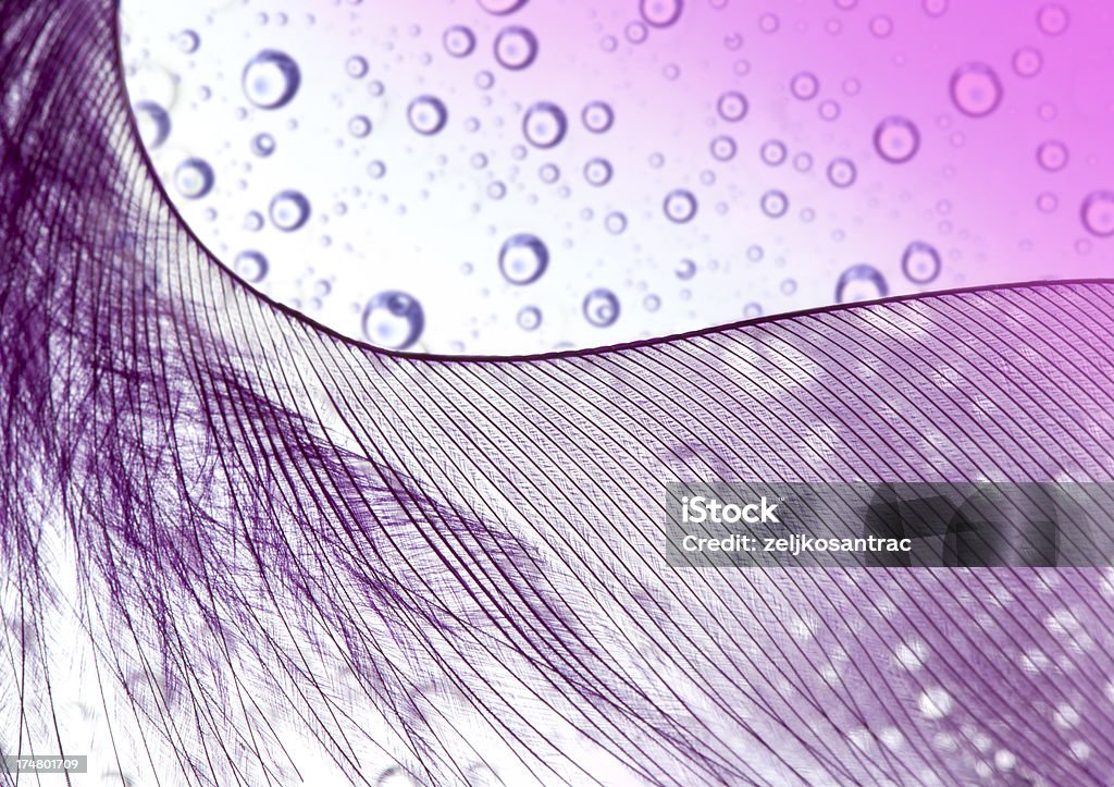 Fundo de penas - Foto de stock de Abstrato royalty-free