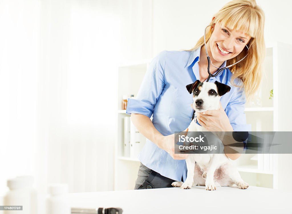 Junge weibliche Tierarzt fürsorglichen über den Hund. - Lizenzfrei Aktivitäten und Sport Stock-Foto