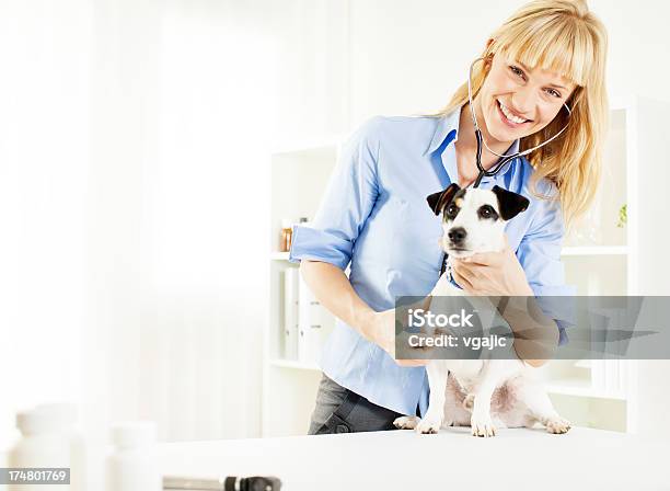 Jovem Fêmea Cuidados Veterinários De Cão - Fotografias de stock e mais imagens de Adulto - Adulto, Amor, Animal