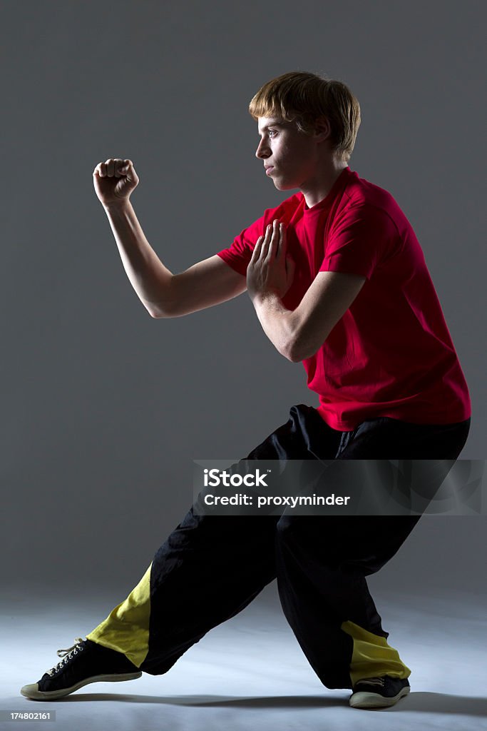 Kung Fu Posição de combate - Royalty-free Kung-Fu Foto de stock