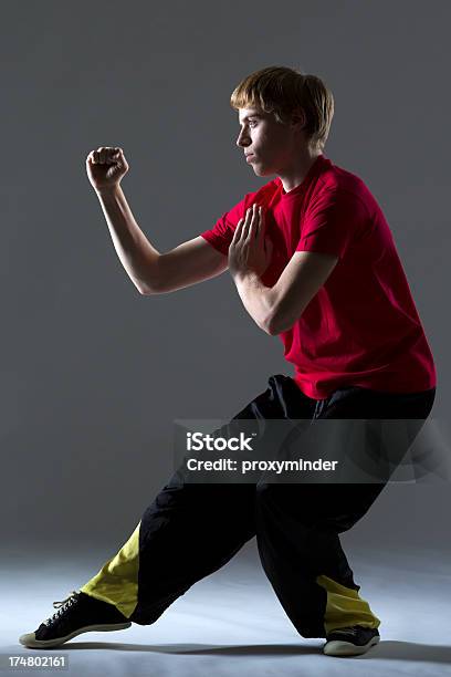 Kung Fu Posição De Combate - Fotografias de stock e mais imagens de Kung-Fu - Kung-Fu, 18-19 Anos, Adulto