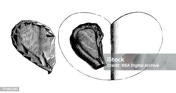 Paperwrapped Veal Cutlet Antique Culinary Illustrations Stock Illustration - Download Image Now