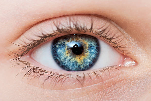 olho-azul - close up of iris imagens e fotografias de stock