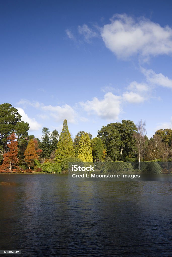 Parque de Sheffield en East Sussex, Inglaterra - Foto de stock de Jardín del parque de Sheffield libre de derechos