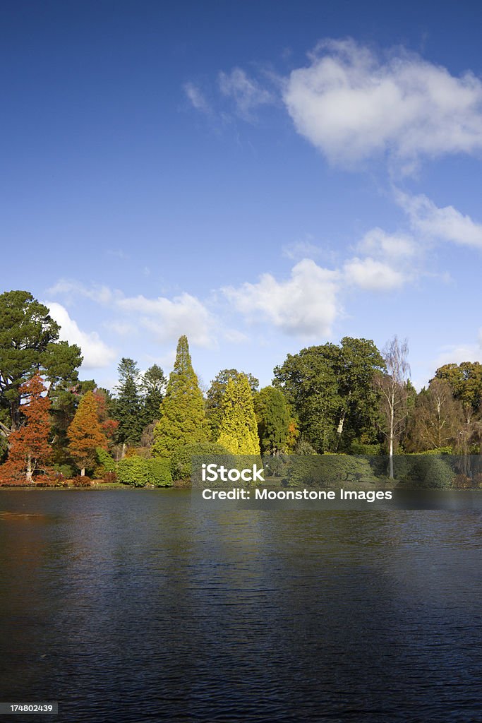 쉐필드 공원의 랑선 서식스, 영국 - 로열티 프리 쉐필드 파크 가든 스톡 사진